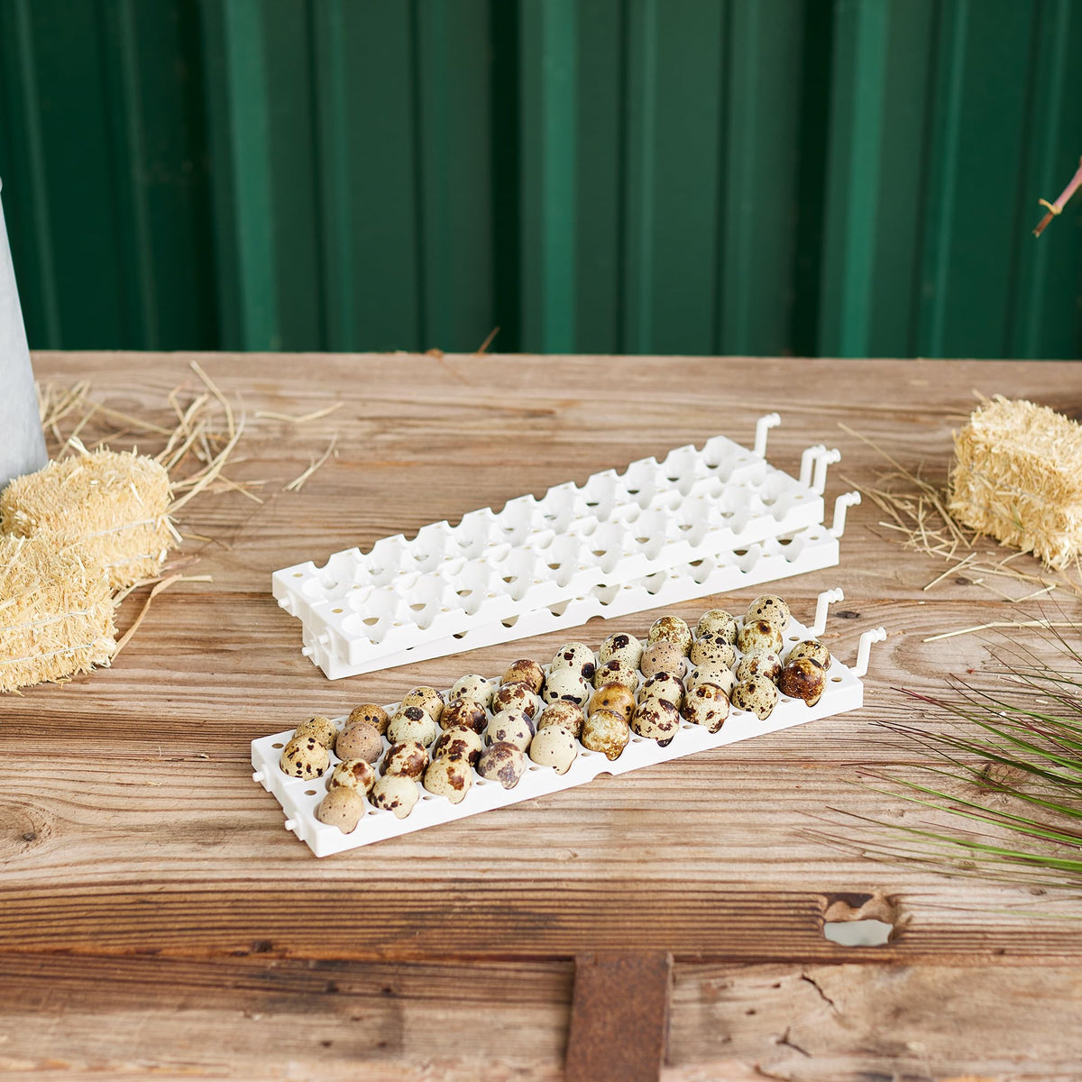 Farm Innovators egg tray capacity setup demonstrating up to 120 eggs
