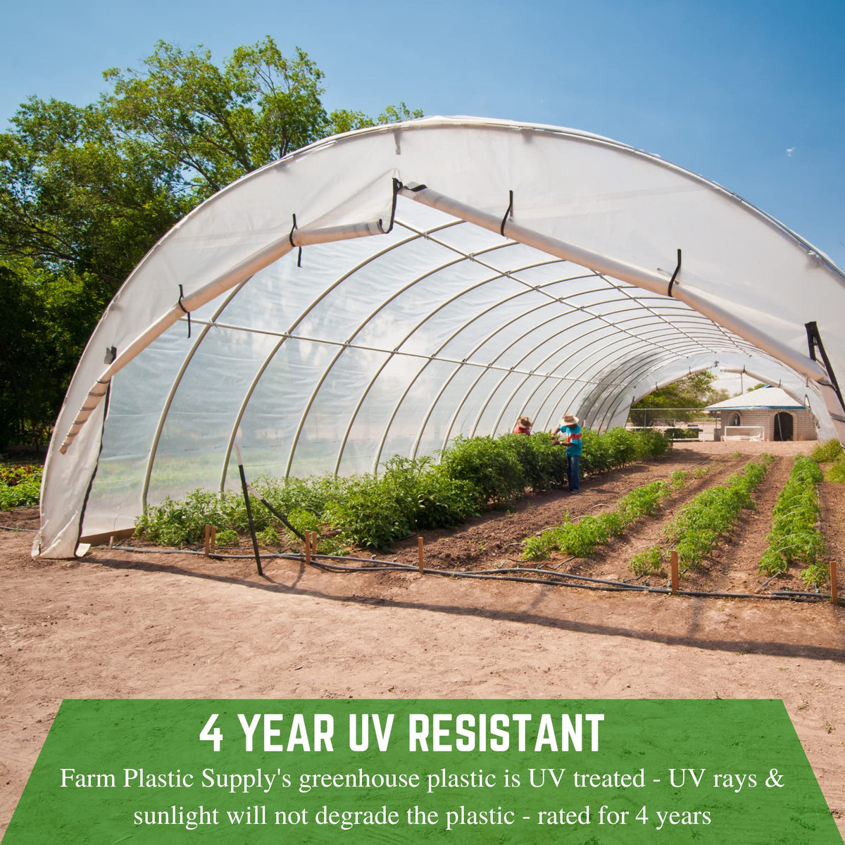 Farm Plastic Supply high light transmission film promotes even crop growth.