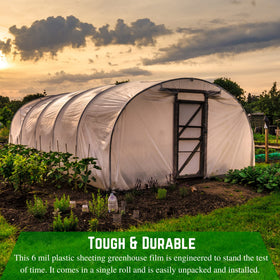 Farm Plastic Supply 25 ft by 40 ft roll ideal for large greenhouses.