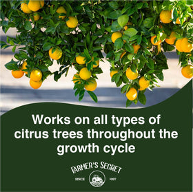 Farmer's Secret Citrus Tree Booster applied along the drip line for even distribution.