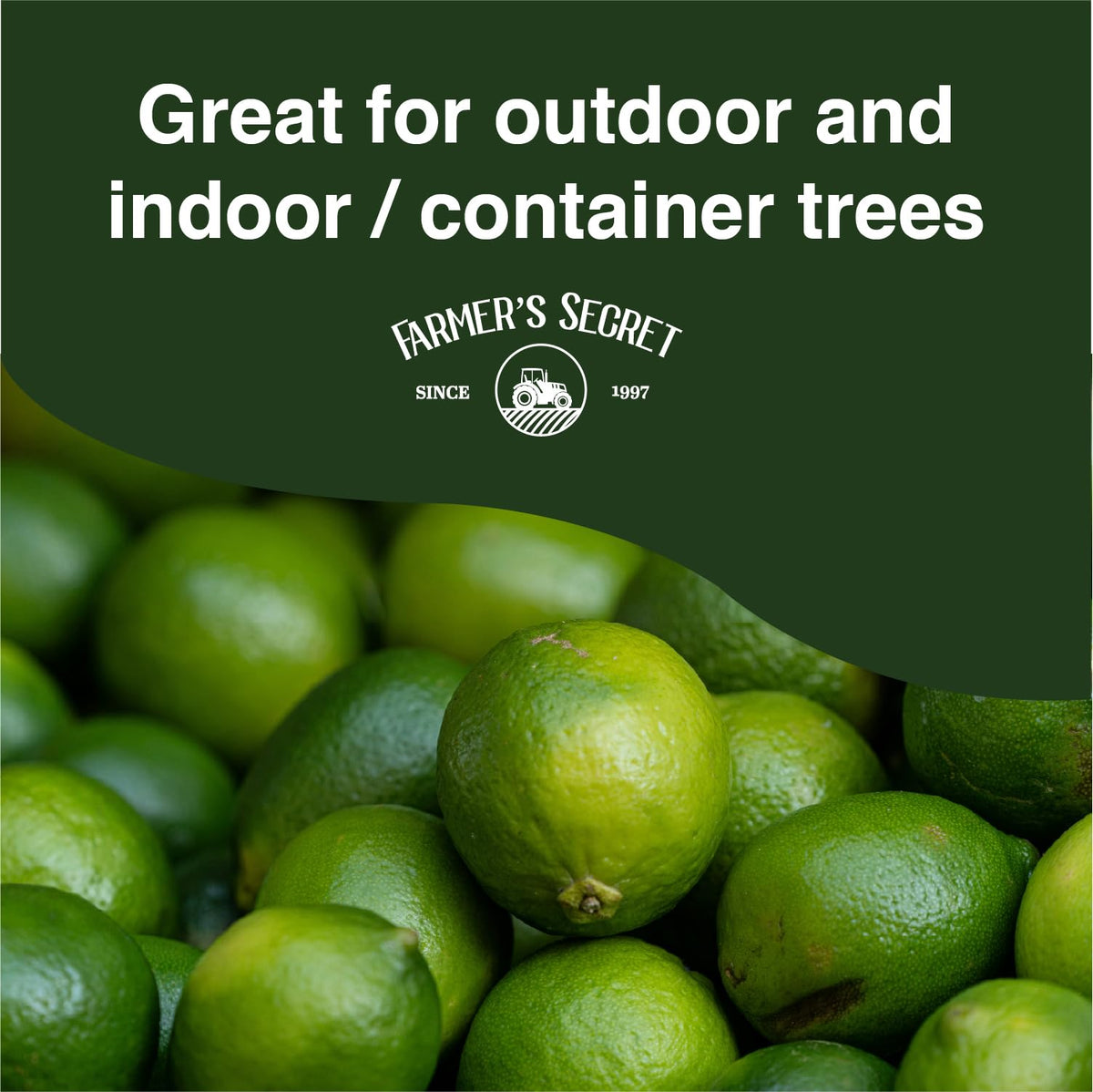 Indoor container tree use with Farmer's Secret Booster and adjusted dosing.