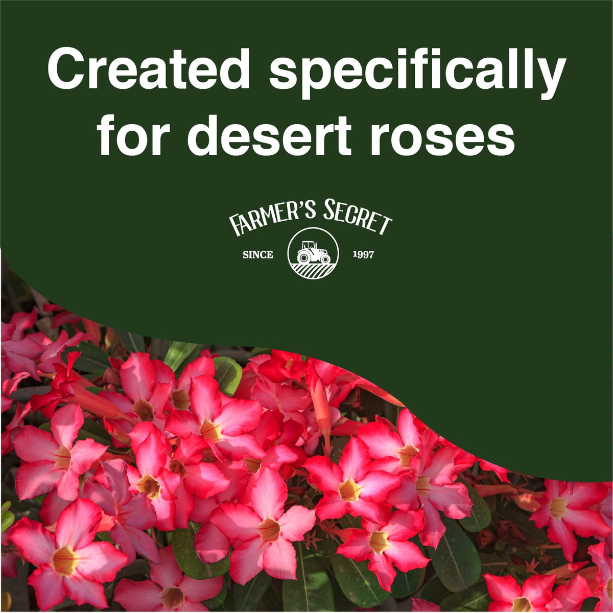 Farmer's Secret Desert Rose Liquid being applied to desert rose in a pot