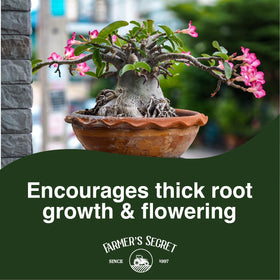 Farmer's Secret Desert Rose Liquid supports trunk growth with concentrated formula