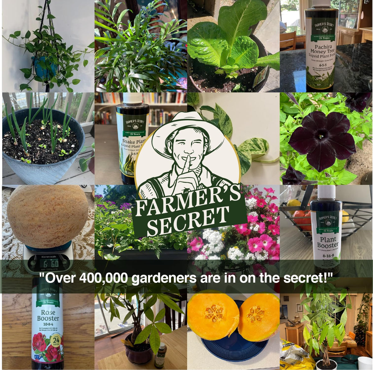Roses and petunias benefit from Farmer’s Secret booster for enhanced blooms
