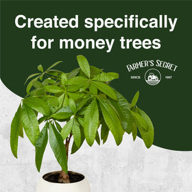 Farmer’s Secret Money Tree liquid dilution cup for precise dosing.