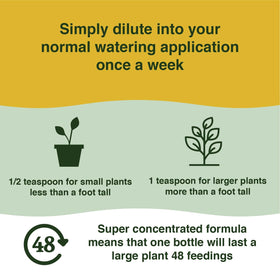 Farmer’s Secret Money Tree watering routine demonstrates easy feed integration.