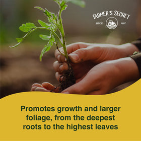 Farmer's Secret Plant Booster lush leaves indicate strong early vigor.