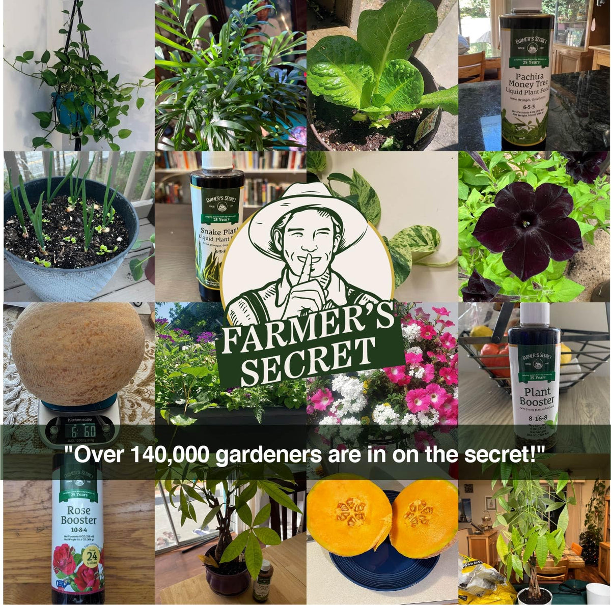 Farmer's Secret Plant Booster packaging reflects Kentucky pride and quality.