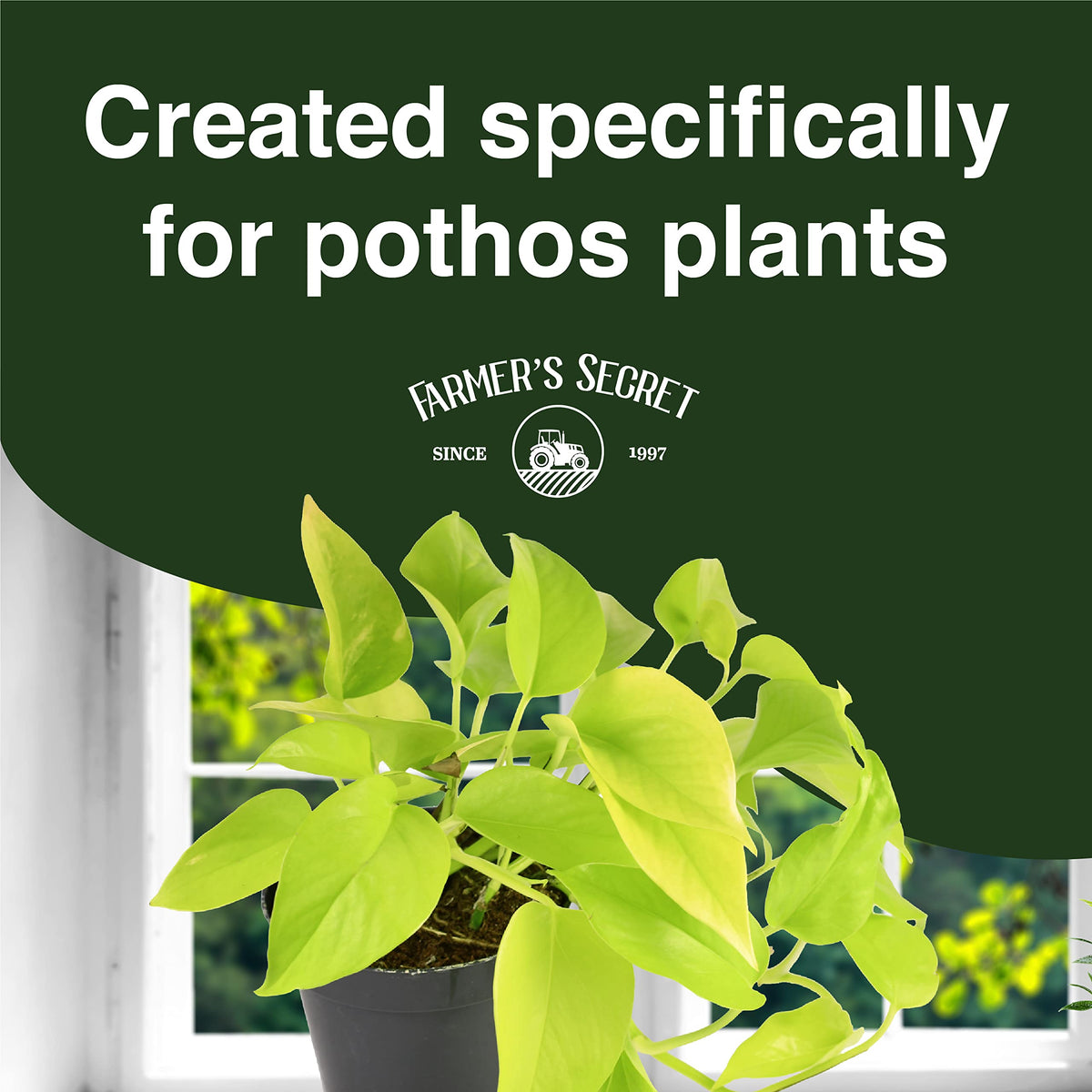 Measuring spoon with Farmer's Secret Pothos liquid, showing easy weekly dilution.
