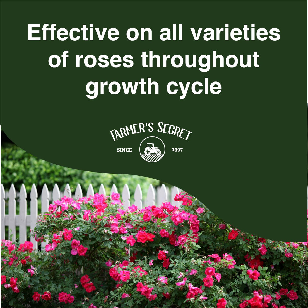Farmer's Secret Rose Booster concentrate close-up highlights powerful formula at a glance