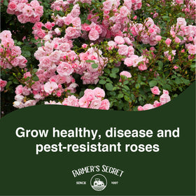 Farmer's Secret Rose Booster measuring spoon shows precise dosing for consistent feeding