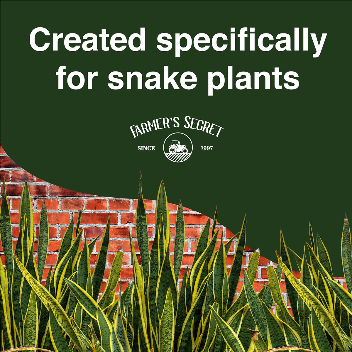 Farmer's Secret liquid food for snake plants is a highly concentrated formula for easy dilution.