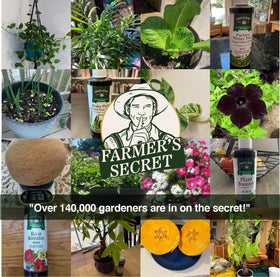 Farmer's Secret indoor-outdoor formula keeps snake plants thriving anywhere.