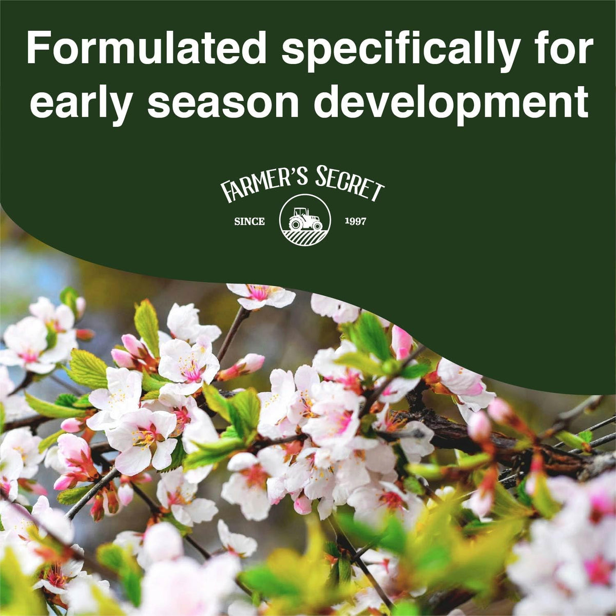Healthy leaves display from Farmer's Secret Spring Booster use in leafy plants