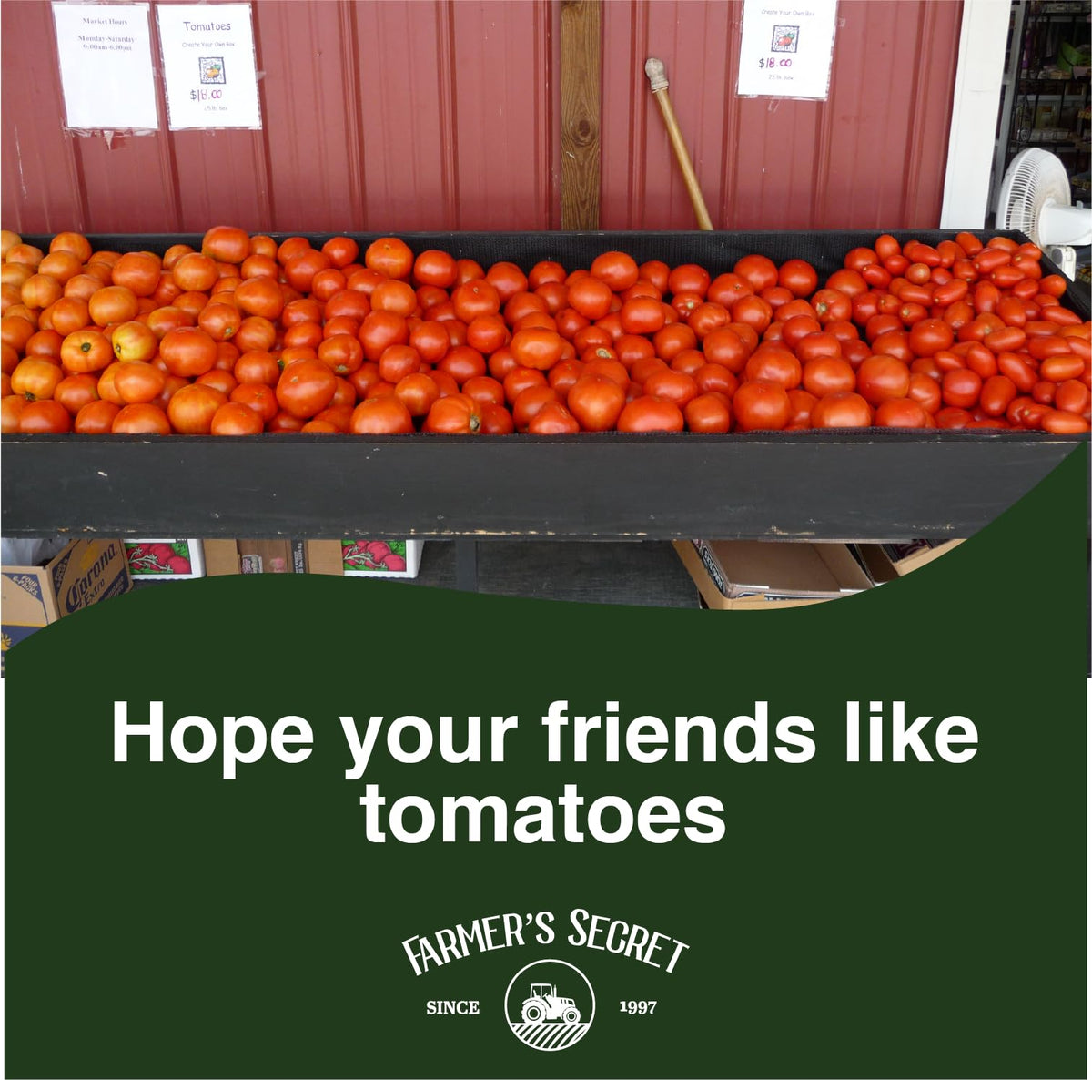 Farmers Secret Tomato Booster dilution illustration showing simple mixing process