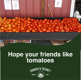 Farmers Secret Tomato Booster dilution illustration showing simple mixing process