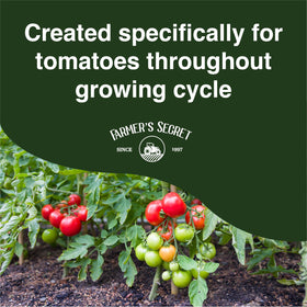 Farmers Secret Tomato Booster plant growth closeup with fuller foliage