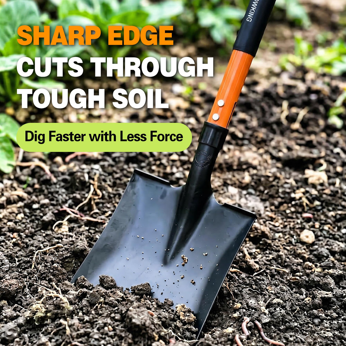 FARMHOLYCOWKING square-head steel shovel enables efficient soil turning in tight beds.