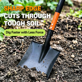 FARMHOLYCOWKING square-head steel shovel enables efficient soil turning in tight beds.
