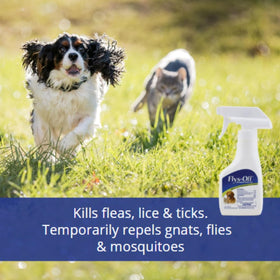 Farnam Flys-Off in action on a pet provides outdoor pest protection.