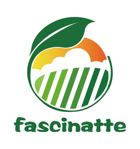 Fascinatte latch set compatible with Poulan models for fast repair
