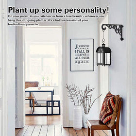 Fashioncool outdoor indoor plant hanger shown on wall.