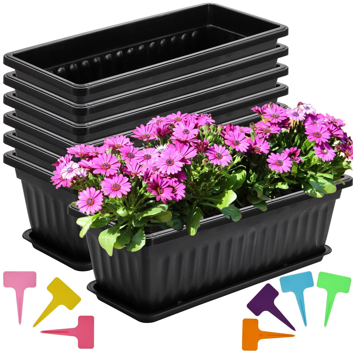 Fasmov planter bottom features drainage holes for healthy moisture management.