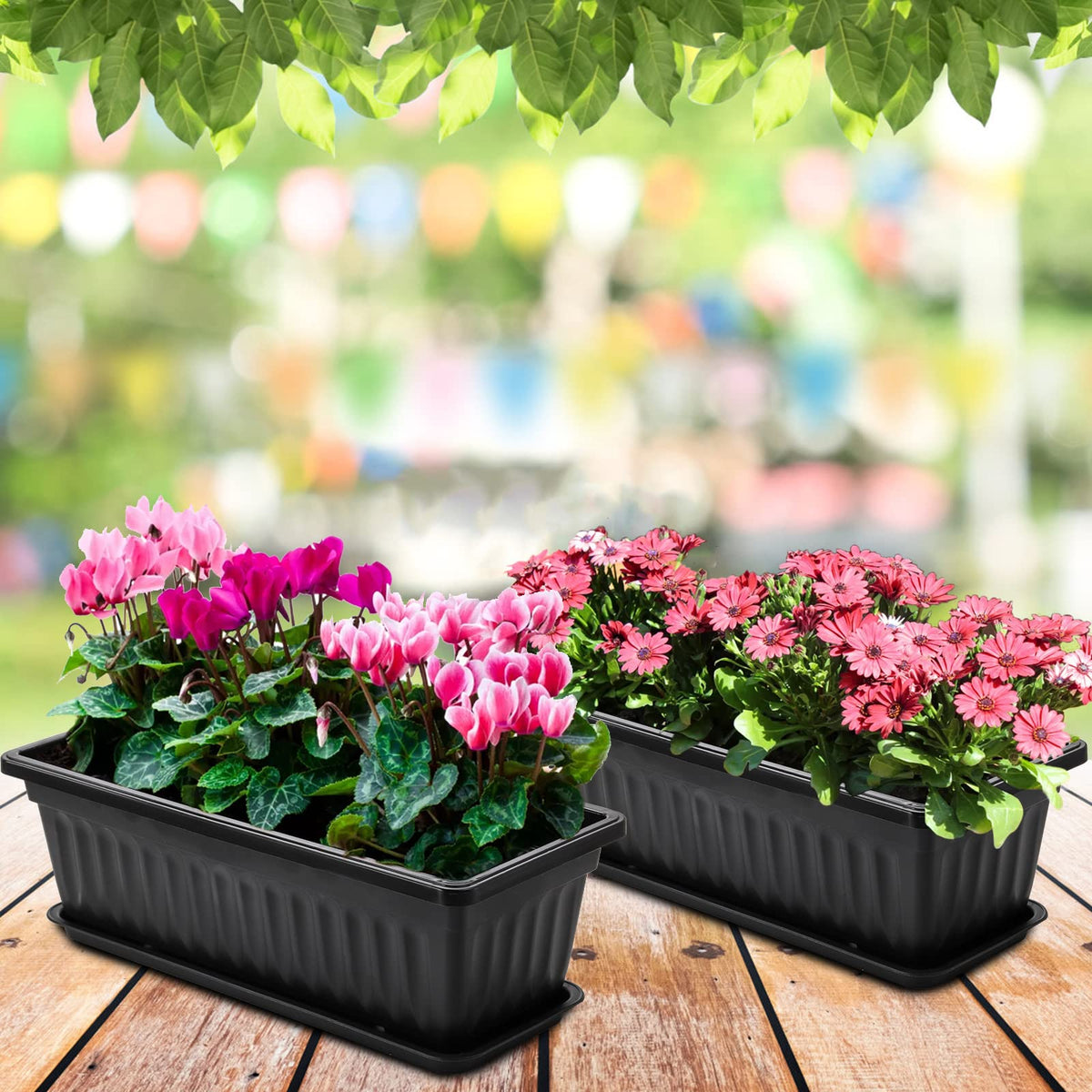 Fasmov black window box set is ideal for at-home container gardening.
