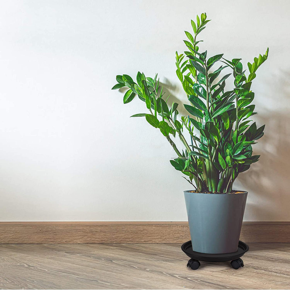 Fasmov indoor-outdoor caddy helps reposition garden pots effortlessly
