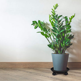 Fasmov indoor-outdoor caddy helps reposition garden pots effortlessly