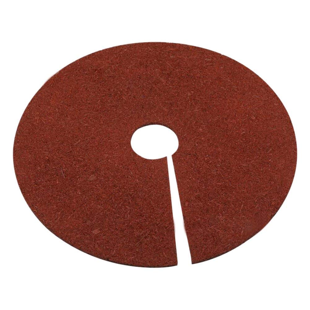 Fasmov rubber tree ring shows easy installation around a young tree.