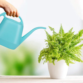 Fasmov watering can suitable for indoor and outdoor plant care