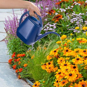 Fasmov precise-watering blue can directs water exactly where needed