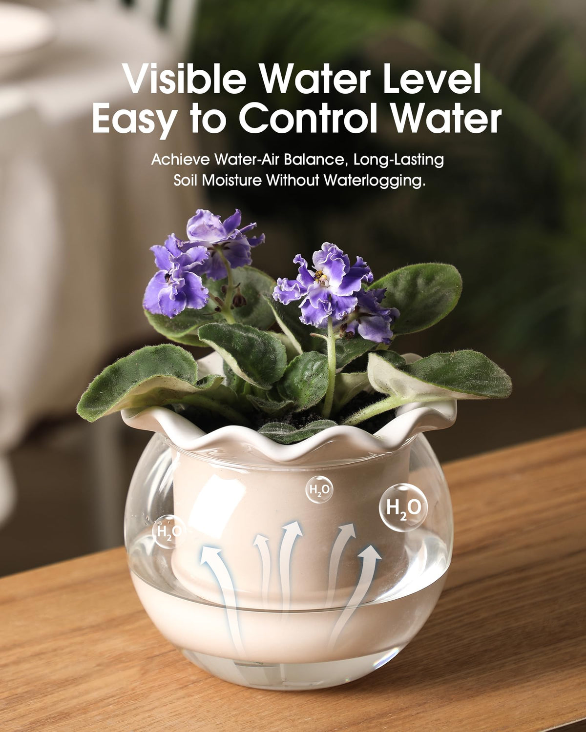 Fayoula 6-inch ceramic inner pot suitable for violets and herbs.