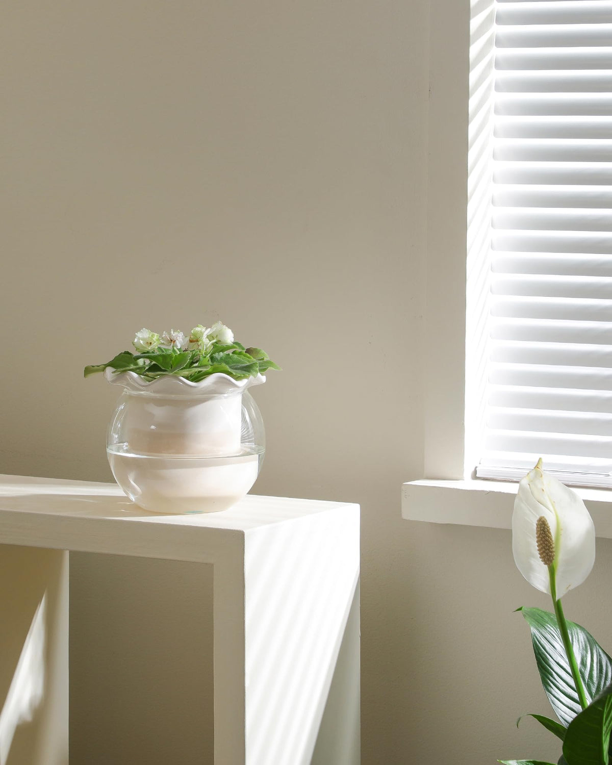 Fayoula indoor garden planter enhances modern décor in any room.