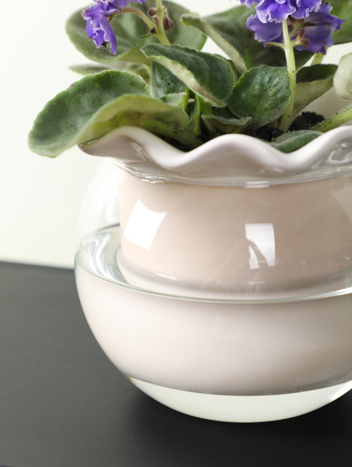 Fayoula versatile pot supports African violets, pothos, herbs, and succulents.