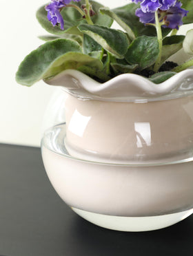 Fayoula versatile pot supports African violets, pothos, herbs, and succulents.