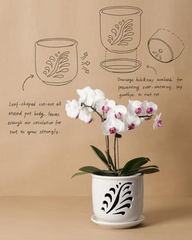 Fayoula orchid pot includes a separate drip tray to catch excess water