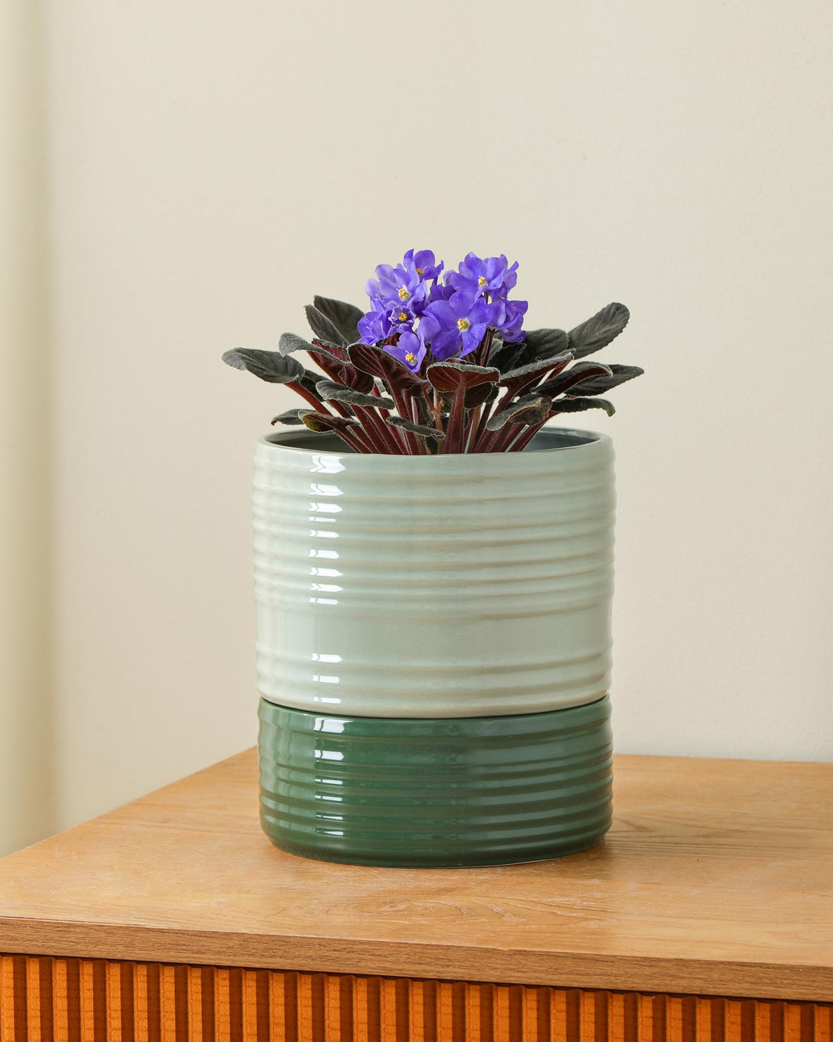 Fayoula self-watering pot with drainage hole prevents overwatering