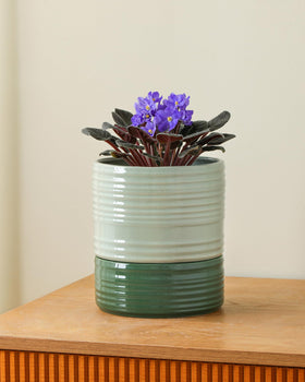 Fayoula self-watering pot with drainage hole prevents overwatering