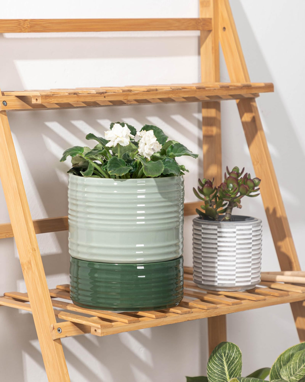 Fayoula versatile plant pot suitable for herbs and violets
