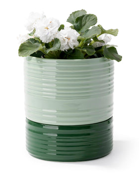 Fayoula ceramic self-watering pot in green light helps soil stay moist