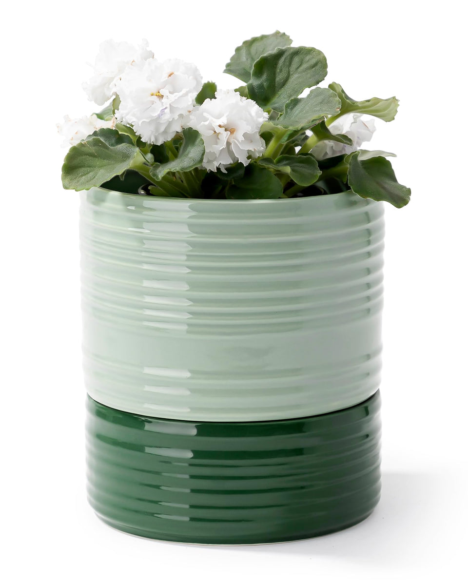 Fayoula ceramic self-watering pot in green light helps soil stay moist