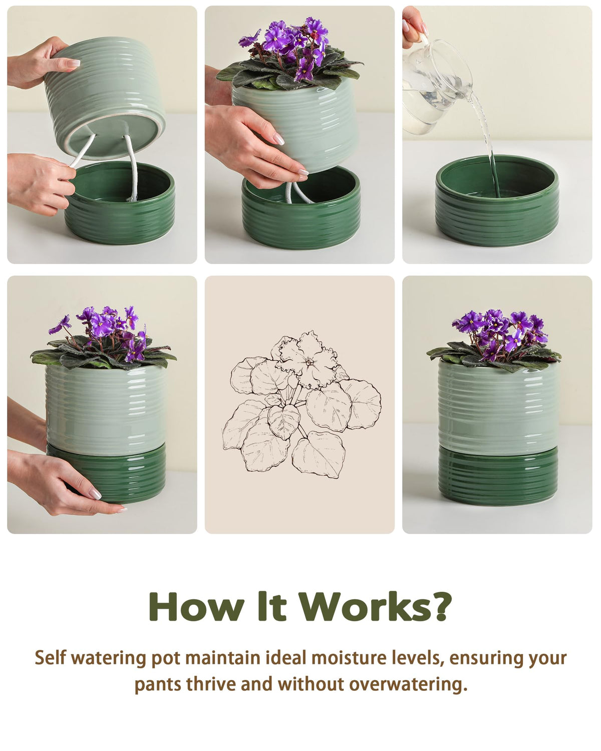 Fayoula wick rope system for easy plant hydration