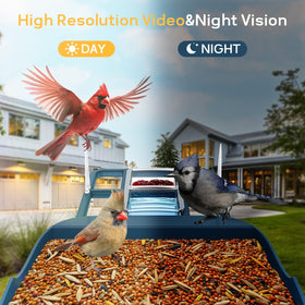 Fazoxo Bird Feeder Camera cloud storage access on screen