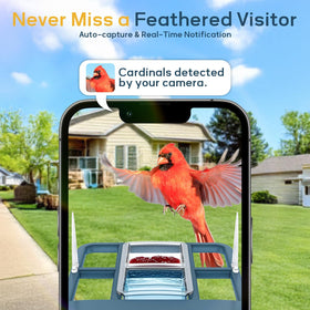 Fazoxo Bird Feeder Camera mounted on garden pole