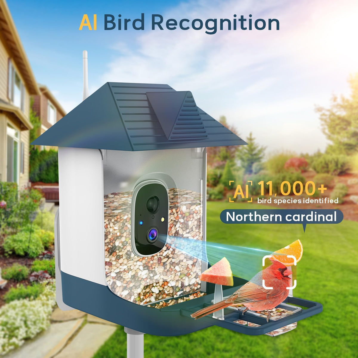 Fazoxo Bird Feeder Camera night vision view during dusk