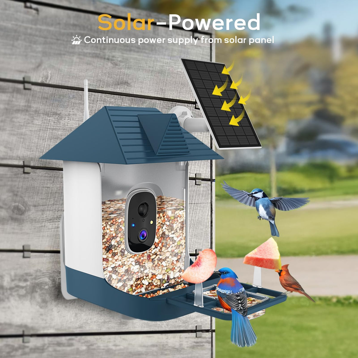 Fazoxo Bird Feeder Camera app notifications on smartphone