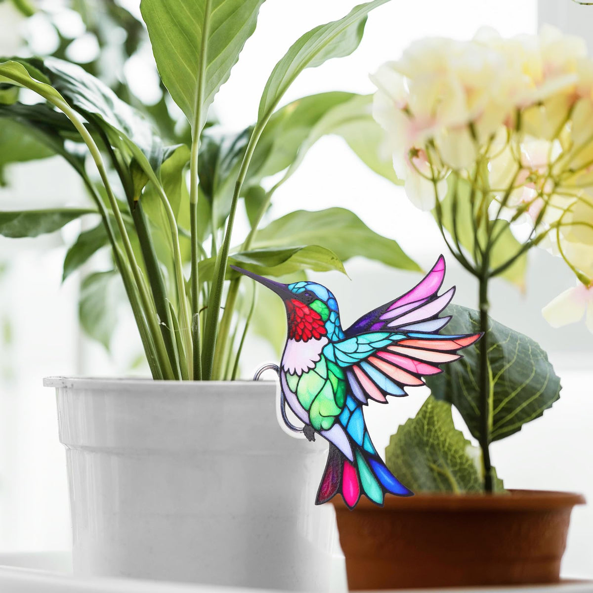 FBBP Valentine’s gift for her — unique acrylic plant accent