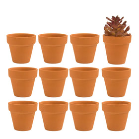 Fcacti 12-piece mini clay pots with drainage holes for succulents